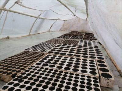 Adnan Hadžalić: Ne pristajemo na hemijske preparate, samo organska proizvodnja