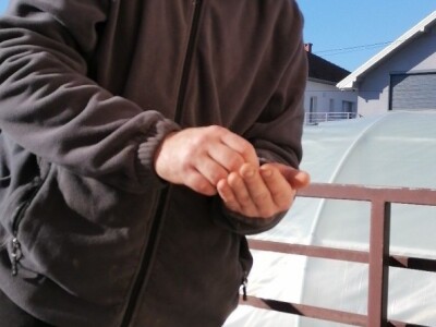 Adnan Hadžalić: Ne pristajemo na hemijske preparate, samo organska proizvodnja