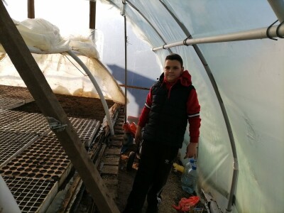 Adnan Hadžalić: Ne pristajemo na hemijske preparate, samo organska proizvodnja