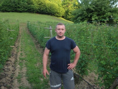 Adnan Merdžić najmalađi proizvodžač maline u srebreničkoj regiji Adnan Merdžić najmalađi proizvodžač maline u srebreničkoj regiji