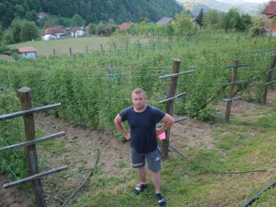 Adnan Merdžić najmalađi proizvodžač maline u srebreničkoj regiji Adnan Merdžić najmalađi proizvodžač maline u srebreničkoj regiji