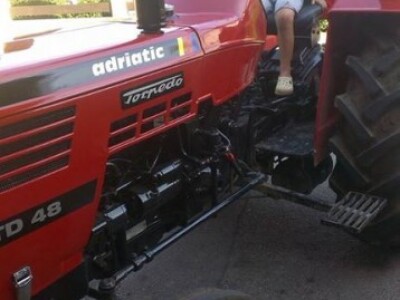 Najmlađi član obitelji Rosman Najmlađi član obitelji Rosman