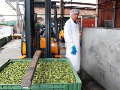 AgroFructus - novi pogon za preradu voća i povrća