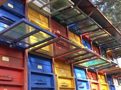 Agencija za ruralni razvoj