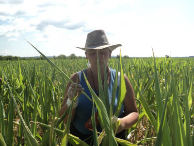 Agica s obitelji uzgaja i ratarske kulture
