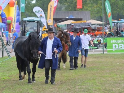 AGRA 2022, Gornja Radgona