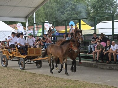 AGRA 2022, Gornja Radgona