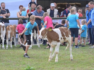 AGRA 2022, Gornja Radgona