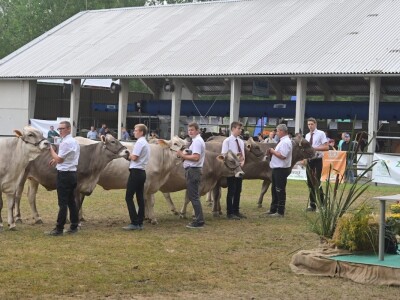 AGRA 2022, Gornja Radgona