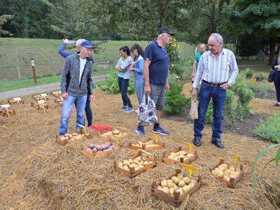 AGRA 2022, Gornja Radgona