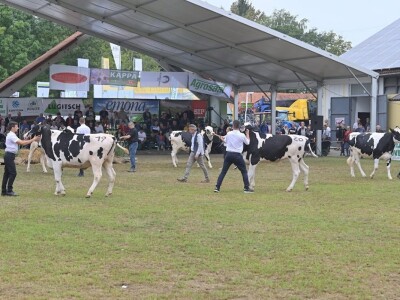 AGRA 2022, Gornja Radgona