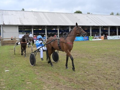 AGRA 2022, Gornja Radgona