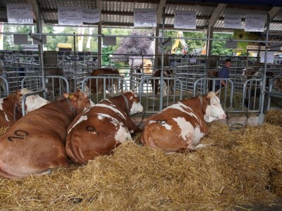 AGRA 2022, Gornja Radgona