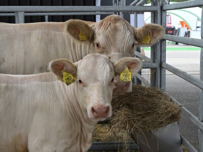 AGRA 2022, Gornja Radgona