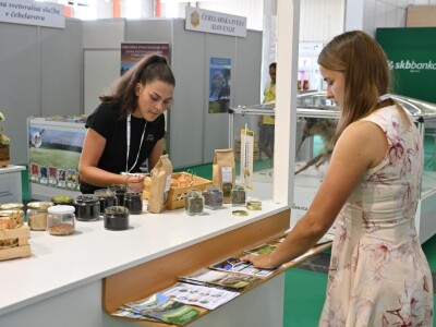 AGRA 2023, Gornja Radgona