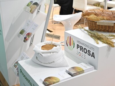 AGRA 2023, Gornja Radgona