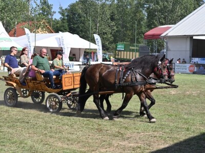 AGRA 2023, Gornja Radgona