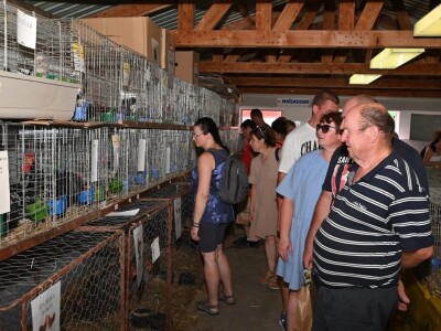 AGRA 2023, Gornja Radgona