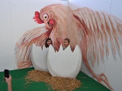 AGRA 2023, Gornja Radgona