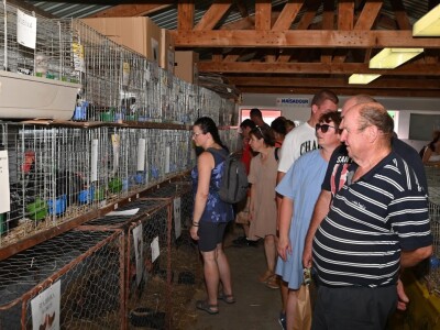 AGRA 2023, Gornja Radgona