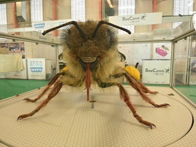 AGRA 2023, Gornja Radgona