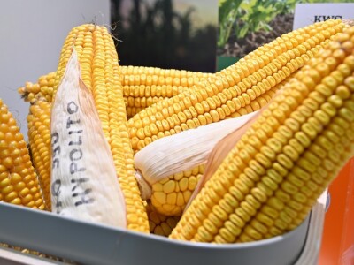 AGRA 2023, Gornja Radgona