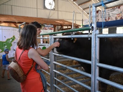 AGRA 2023, Gornja Radgona