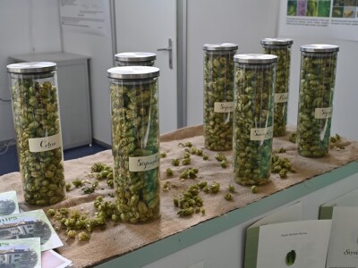 AGRA 2023, Gornja Radgona