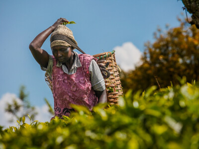 Agrarni novinari u Keniji