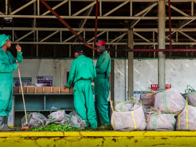 Agrarni novinari u Keniji