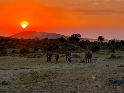 Agrarni novinari u Keniji