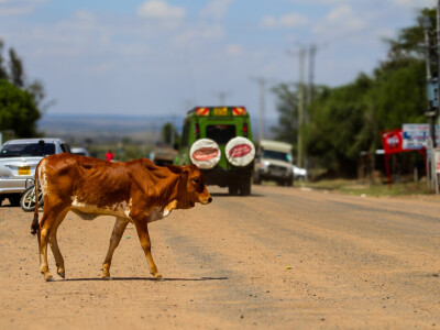 Agrarni novinari u Keniji