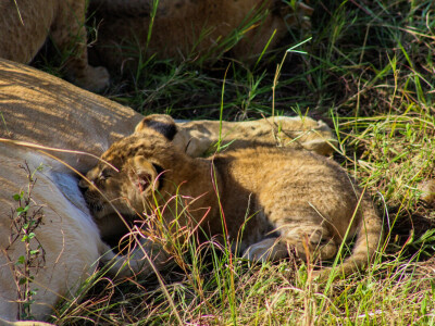 Agrarni novinari u Keniji
