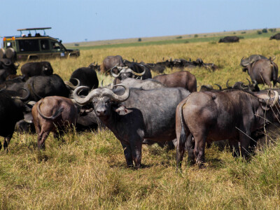 Agrarni novinari u Keniji