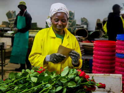 Agrarni novinari u Keniji