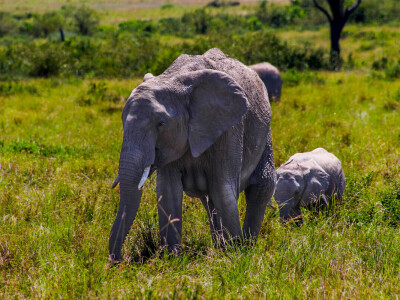 Agrarni novinari u Keniji