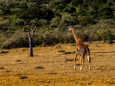 Agrarni novinari u Keniji