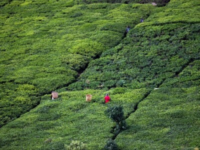 Agrarni novinari u Keniji