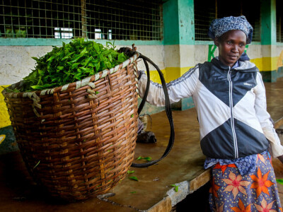 Agrarni novinari u Keniji