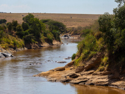 Agrarni novinari u Keniji