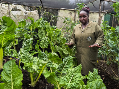 Agrarni novinari u Keniji