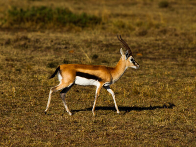 Agrarni novinari u Keniji