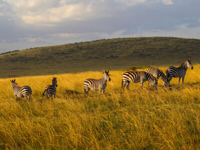 Agrarni novinari u Keniji