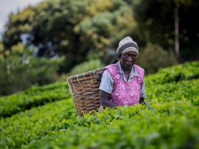 Agrarni novinari u Keniji