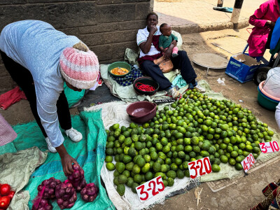 Agrarni novinari u Keniji