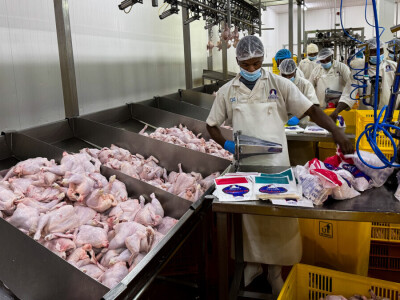 Agrarni novinari u Keniji