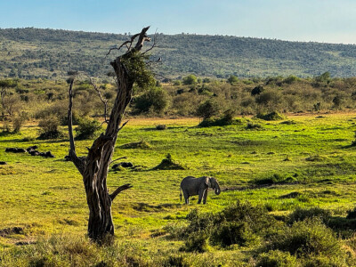 Agrarni novinari u Keniji
