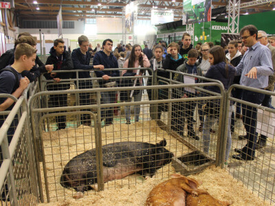 Profesor i učenici u obilasku sajma