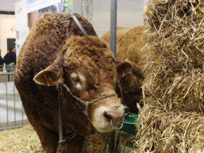AgriBEX