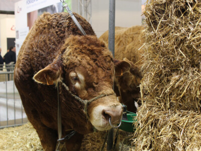 AgriBEX AgriBEX